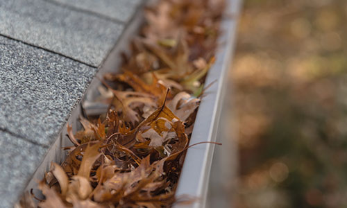 Gutter Cleaning & Brightening